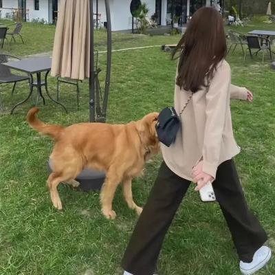 榴莲飘飘
